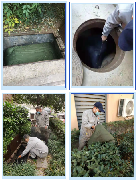 1638763303(1).png 1638763303(1).png